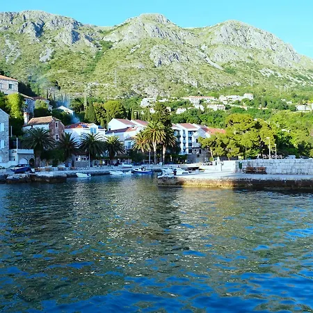 ベッド・アンド・ブレックファスト Boutique Flamingo